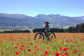 diapo_4_fl01dvv.jpg - © Arcanson diapo_4_fl01dvv.jpg