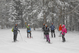 diapo_4_ra01rvaok.jpg - © Arcanson diapo_4_ra01rvaok.jpg