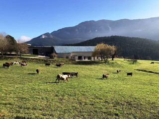 La ferme - © Gianese La ferme