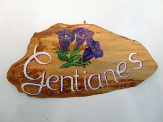 gite Gentianes - © Frier Gouron gite Gentianes