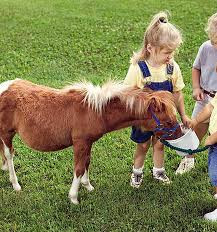 Apprenti vétérinaire