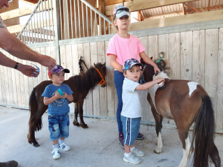 Apprenti vétérinaire Apprenti vétérinaire