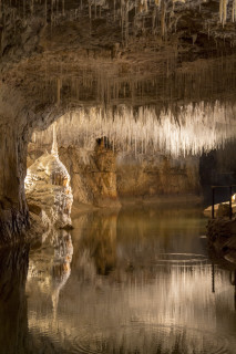 Stalactites dans la grotte de Choranche