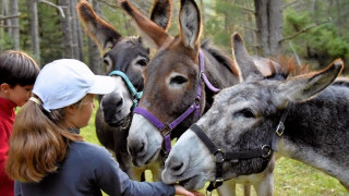Balade bivouac ane Vercors