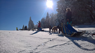 wp_20180209_14_33_55_rich.jpg wp_20180209_14_33_55_rich.jpg