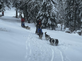 WhatsApp Image 2024-03-16 à 16.06.24_36b97107.jpg WhatsApp Image 2024-03-16 à 16.06.24_36b97107.jpg