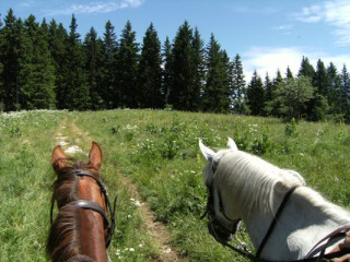 Balade à cheval