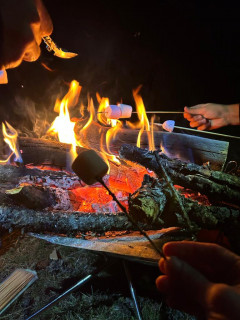 Instinct Sauvage Instinct Sauvage