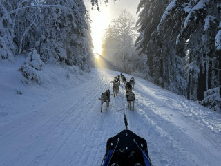 458654312_8118974991491697_6266793384174738122_n.jpg - © Rêve Arctic 458654312_8118974991491697_6266793384174738122_n.jpg