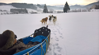 wp_20180206_11_32_56_rich.jpg wp_20180206_11_32_56_rich.jpg