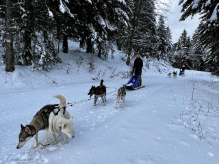 458338790_870900497918413_2075168100182279856_n.jpg - © Rêve Arctic 458338790_870900497918413_2075168100182279856_n.jpg