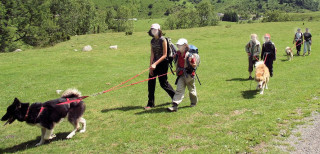 img_2860.jpg - © Rêve arctic img_2860.jpg