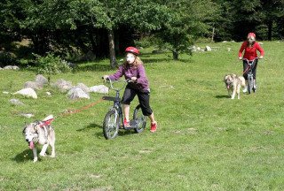 img_2956.jpg - © Rêve arctic img_2956.jpg