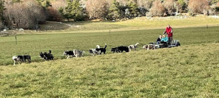 338165822_584890983599077_6253559539001139770_n.jpg - © Rêve Arctic 338165822_584890983599077_6253559539001139770_n.jpg