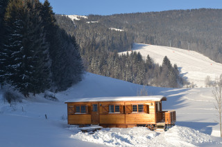 dsc_0239.jpg dsc_0239.jpg