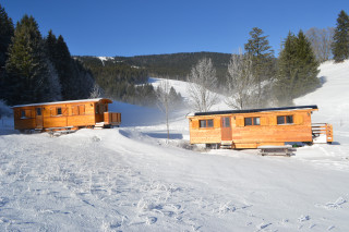 dsc_0397.jpg dsc_0397.jpg