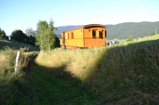 dsc_0067p.jpg dsc_0067p.jpg