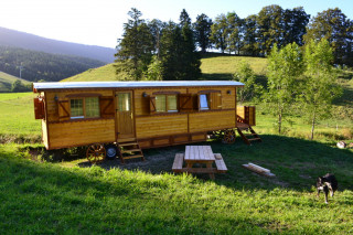 dsc_0035p.jpg dsc_0035p.jpg