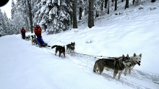 0ec838cf-cc87-4762-93ec-4964d31e5f94.jpeg - © Rêve Arctic 0ec838cf-cc87-4762-93ec-4964d31e5f94.jpeg