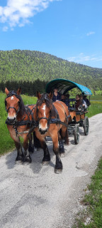 Calèche du Vercors Calèche du Vercors