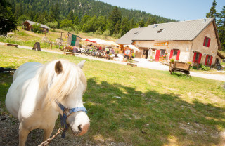 christelle VAN DURMEN - © Refuge de Gève christelle VAN DURMEN