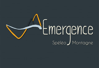 Logo fond gris Emergence.jpg