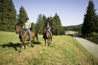 christelle VAN DURMEN