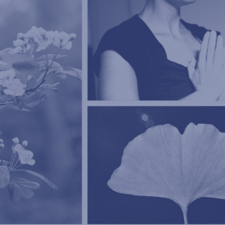 Stage de yoga à Autrans