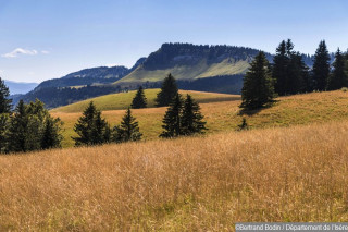 moliere_bodin_2.jpg moliere_bodin_2.jpg