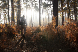L'Odyssée du coureur des Bois