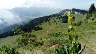 Randonnée de Crêtes en Vallons