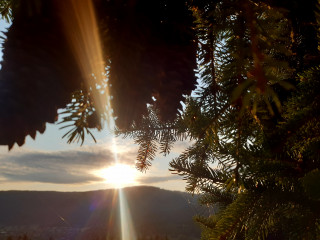 veillee stage yogasoi