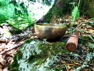 Meditation en foret Bol