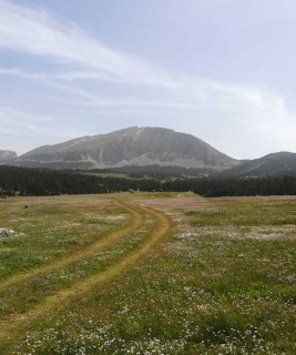 j2_prairie_hauts_plateaux_grand_veymont_arrieere_plan_c_adrien_ozanon.jpg j2_prairie_hauts_plateaux_grand_veymont_arrieere_plan_c_adrien_ozanon.jpg