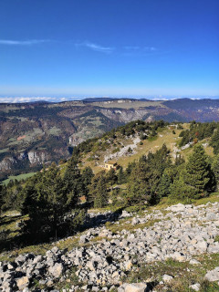 8161405.jpg 8161405.jpg