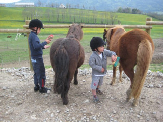 Balade à poneys avec le Haras du Vercors_Lans-en-Vercors