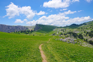 paysage - © Arcanson paysage