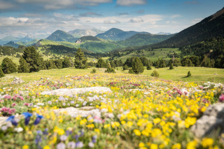 paysage - © Arcanson paysage