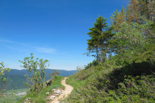 paysage - © Arcanson paysage