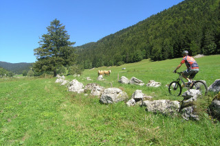 Balade en VTT - © Arcanson Balade en VTT