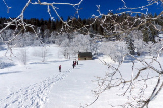 paysage hivernal - © Arcanson paysage hivernal