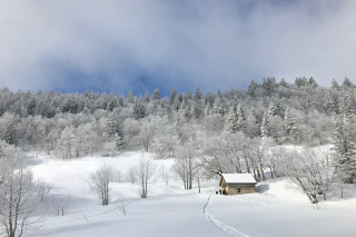 paysage hivernal - © Arcanson paysage hivernal