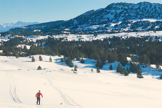 paysage hivernal - © Arcanson paysage hivernal