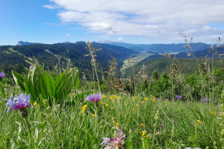 Les Merveilles du Vercors: rando et bien-être_Autrans-Méaudre en Vercors - © Arcanson Les Merveilles du Vercors: rando et bien-être_Autrans-Méaudre en Vercors