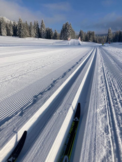 ski_classique.jpg