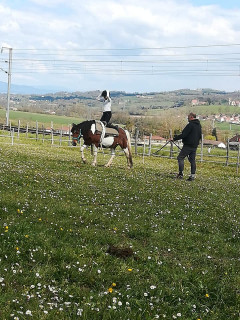 Animation poneys à Gève - © Refuge de Gève Animation poneys à Gève
