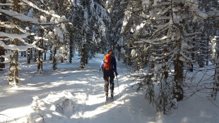 backcountry_skiiing_2004247_1920.jpg