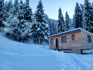 20231203_160307.jpg