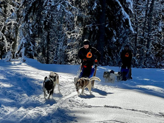 457791344_1027475088706358_2092095534288212404_n.jpg - © Rêve Arctic 457791344_1027475088706358_2092095534288212404_n.jpg