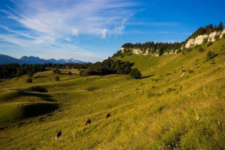 Alpage et ferme Alpage et ferme